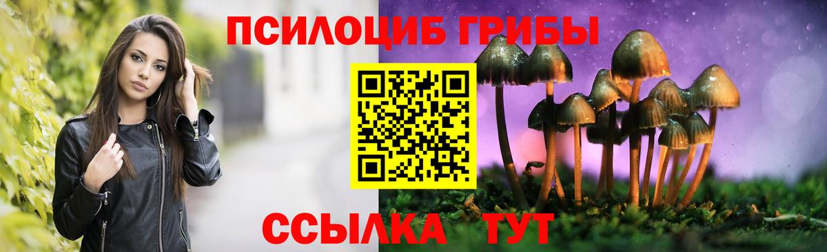 Канаш  закладка  Псилоцибиновые грибы мухоморы  Вход с VPN  Псилоцибиновые грибы Cubensis 